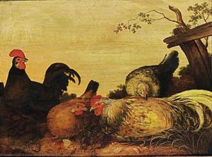 Poultry — Gijsbert Gillisz De Hondecoeter (the Younger)
