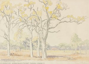 Tuskanen, Limpopo (ii) — Jacobus Hendrik Pierneef