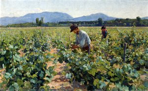 In The Vineyard — Elin Kleopatra Danielson-gambogi