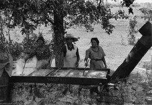 Three Black Women Cooking — Marion Post Wolcott