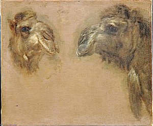 Deux Tetes De Dromadaires — Boel Pieter (boule), Baroque