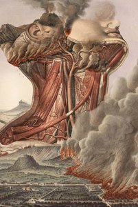 In Desperation Hunt, Unarmed As He Was, Threw Himself Upon The Pirate — Arthur Rackham