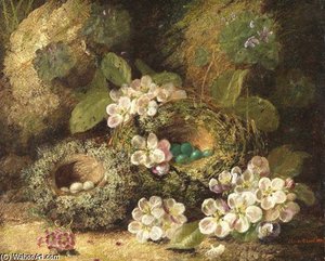Primroses And Bird's Nests On A Mossy Bank — Oliver Clare