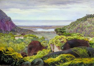 View Near Tijuca, Brazil, Granite Boulders In The Foreground — Marianne North