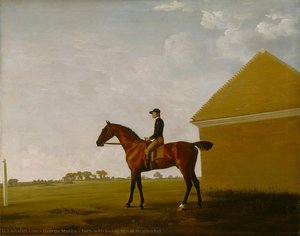 Turf, With Jockey Up, At Newmarket — George Stubbs