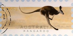 'dreams Of Australia' Series, Kangaroo — Antonia Phillips