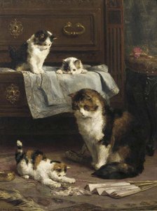In The Boudoir