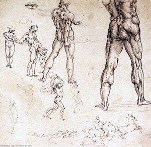 Anatomical Studies — Leonardo Da Vinci