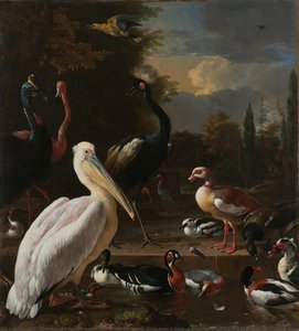 A Pelican And Other Birds Near A Pool, Known As ‘the Floating Feather’, Melchior D"hondecoeter, C. 1680 — Melchior De Hondecoeter
