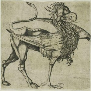 The Griffin — Martin Schongauer