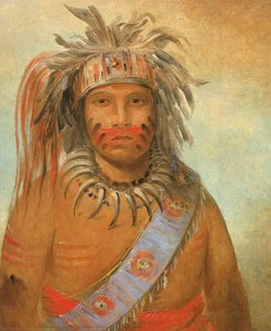 Au Nim Muck Kwa Um, Tempest Bird — George Catlin, American School Painting