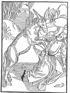 The Ship Of Fool — Albrecht Dürer