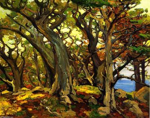 Monterey Cypress — Franz Bischoff