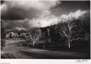 White Birches, Mohonk, New York — Nathan Jay Jaffee