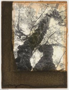 Les Constellations Voisines Du Pole — Joseph Cornell