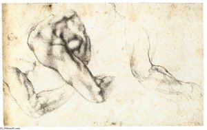 Three Studies Of A Left Arm And Shoulder — Michelangelo Buonarroti
