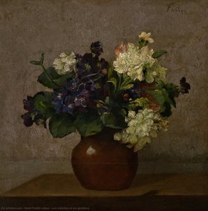 Les violettes et les giroflées