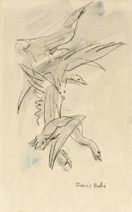 Oiseaux Volant — Francis Picabia