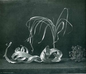 Untitled (361) — Paul Cadmus