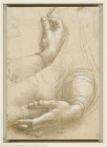 A Study Of A Woman — Leonardo Da Vinci, Renaissance
