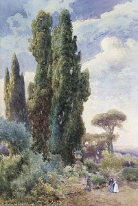 Incontro Nel Parco