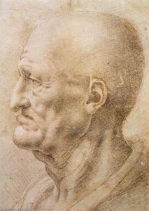 Profile Of An Old Man — Leonardo Da Vinci