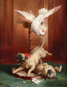 Parrot And Pugs — Carl Reichert