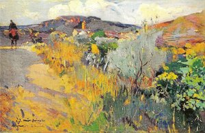 Vista De L'aleixar — Joaquim Mir