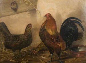 Cock And Two Hens — John Vine