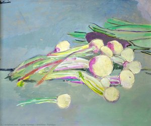 Untitled (turnips) — Luce Turnier