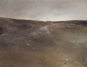 Snow Flurries — Andrew Newell Wyeth