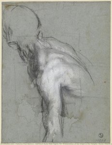 Half-bust Nude Male Figure (for “presentation Of The Virgin In The Temple”, Roma, Church Of Santa Maria In Vallicella) — Federico Fiori Barocci, Baroque Renaissance