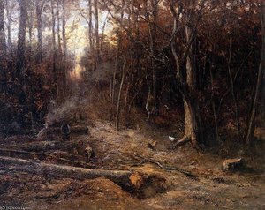 woodcutters sun