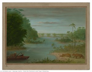 Pont De Palmiers And Tiger Shooting — George Catlin