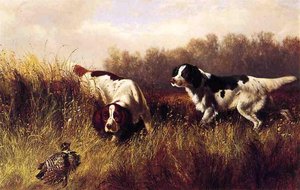 Prarie Shooting: Find Him — Arthur Fitzwilliam Tait