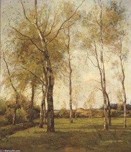 Schaapskooi - October