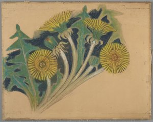 Sow thistle flowers. Design for the painting decoration the parish church in Biecz