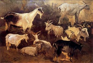 Study Of Goats — Mariano Barbasan