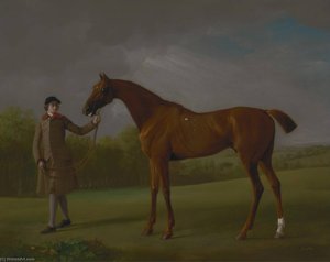 'lustre' Held By A Groom — George Stubbs