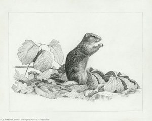Franklin