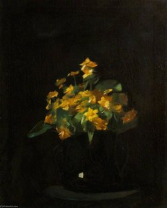 Daffodils