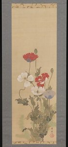 芥子図 Poppies