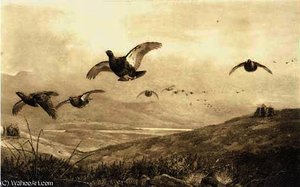On The Grouse Moor — Archibald Thorburn
