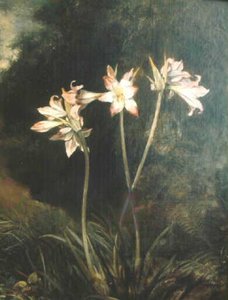 Liliums Sur Fond De Fôret — Léon Riesener