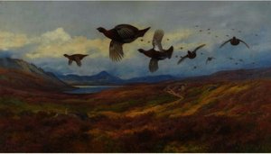 Swerving From The Guns-red Grouse — Archibald Thorburn