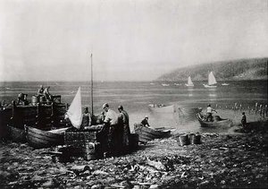 Whale Cove, Grand Manan, N.B., (painting)