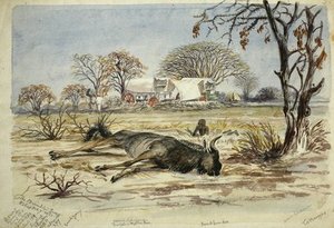 Dead Bridled Gnu Near Covered Wagons — Thomas Baines