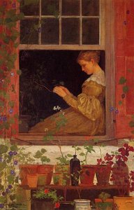 Morning Glories — Winslow Homer