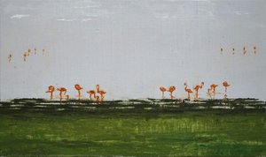 Flamingos In The Tarangire — Calo Carratalá