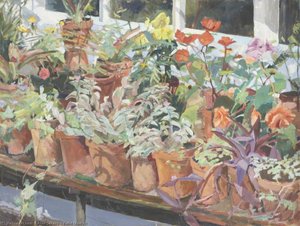Field Study Ii — Alan Sekers